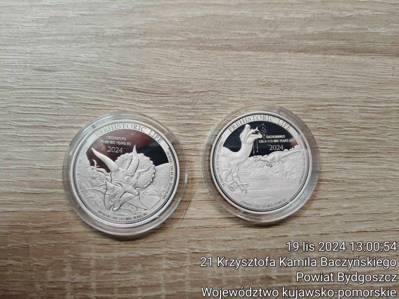 Congo: Prehistoric Life II - Triceratops 1 uncja Srebra 2024 | Kup