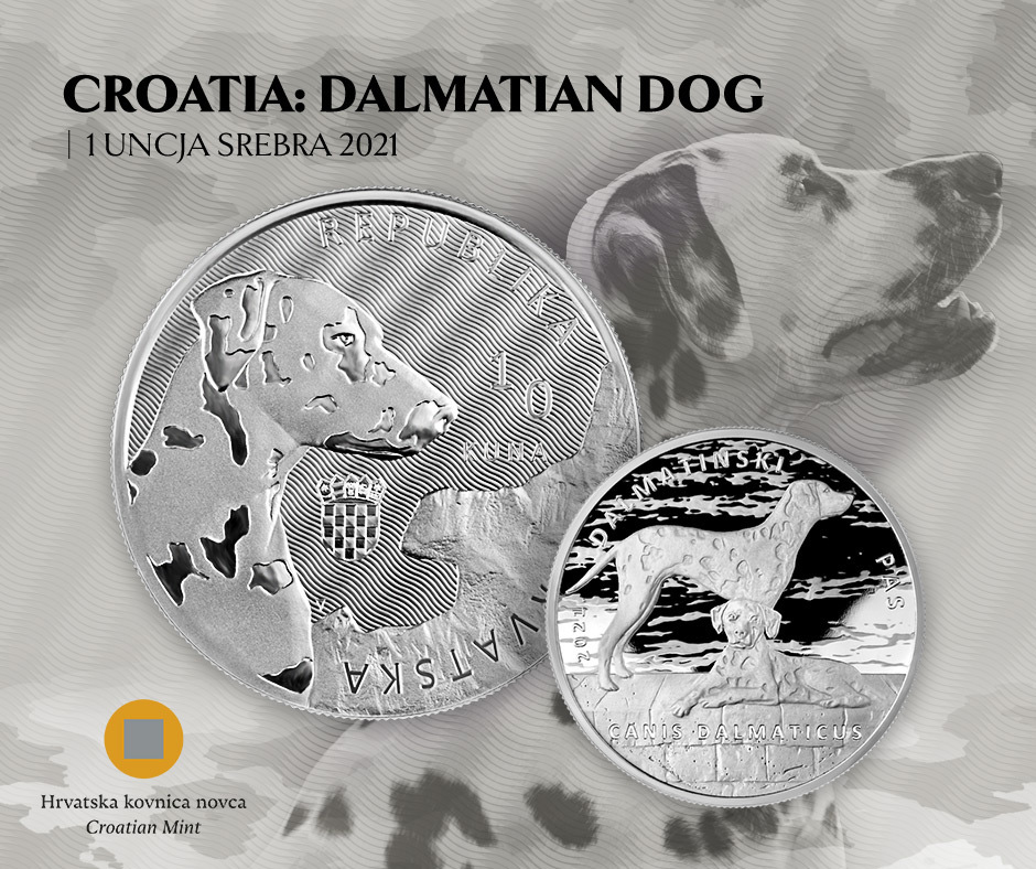 Croatia: Dalmatian Dog Croatia: Dalmatian Dog