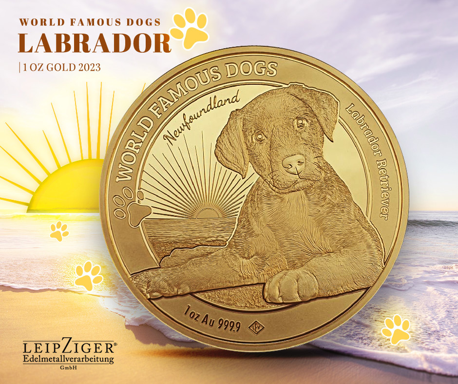 Cameroon: World Famous Dogs - Labrador