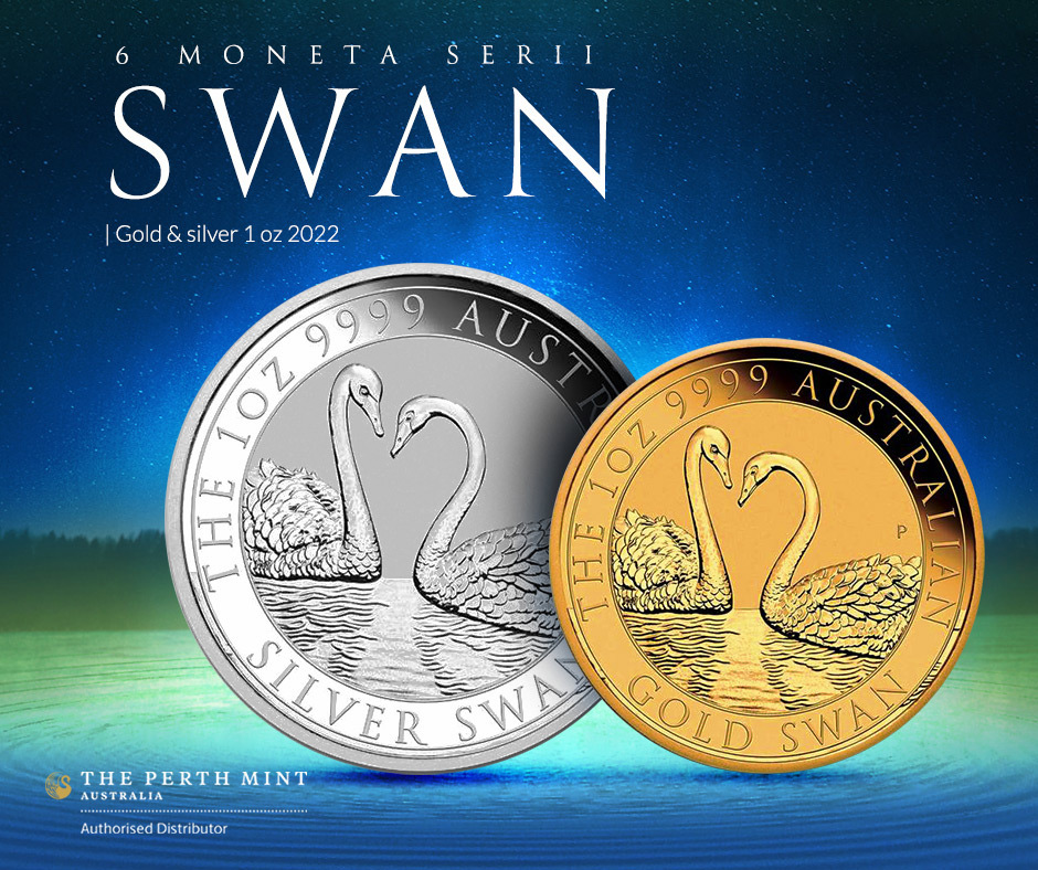 Swan 2022 Equatorial Guinea: Giraffe