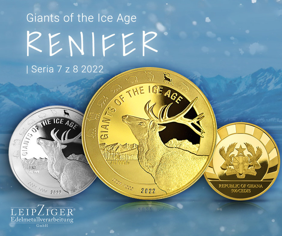 Renifer Equatorial Guinea: Giraffe