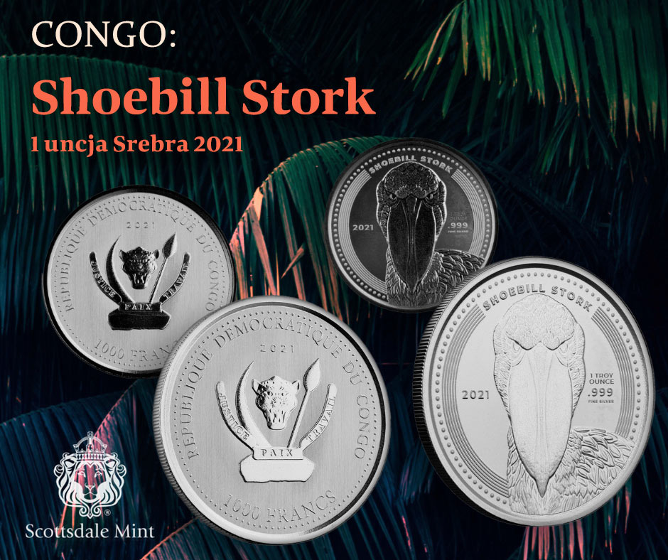 Congo: Shoebill Stork NASA