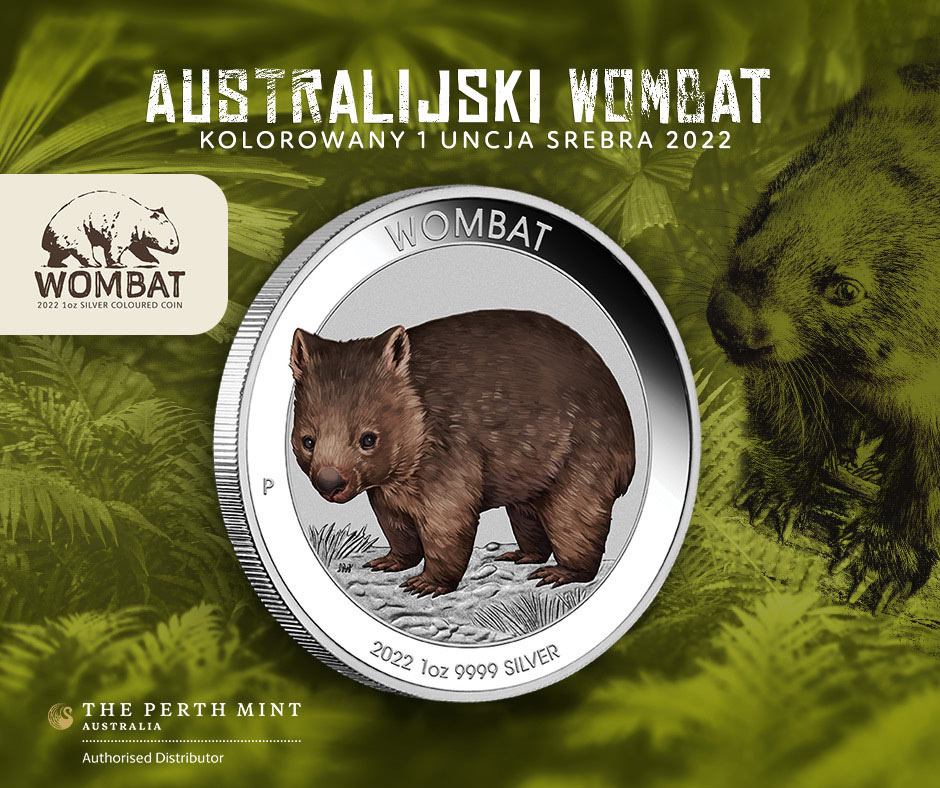 Australijski Wombat Australijski Wombat