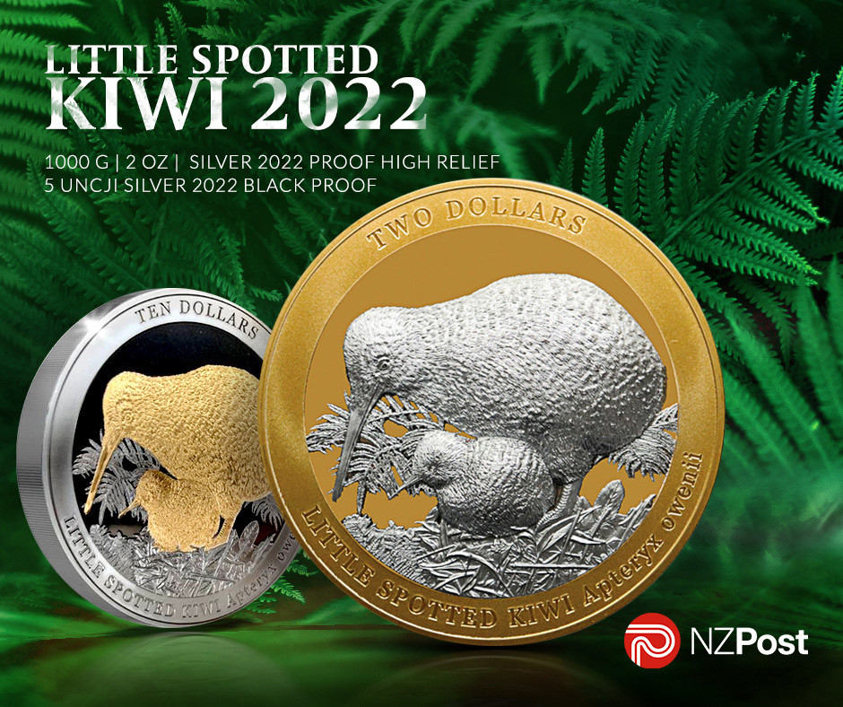  Kiwi 