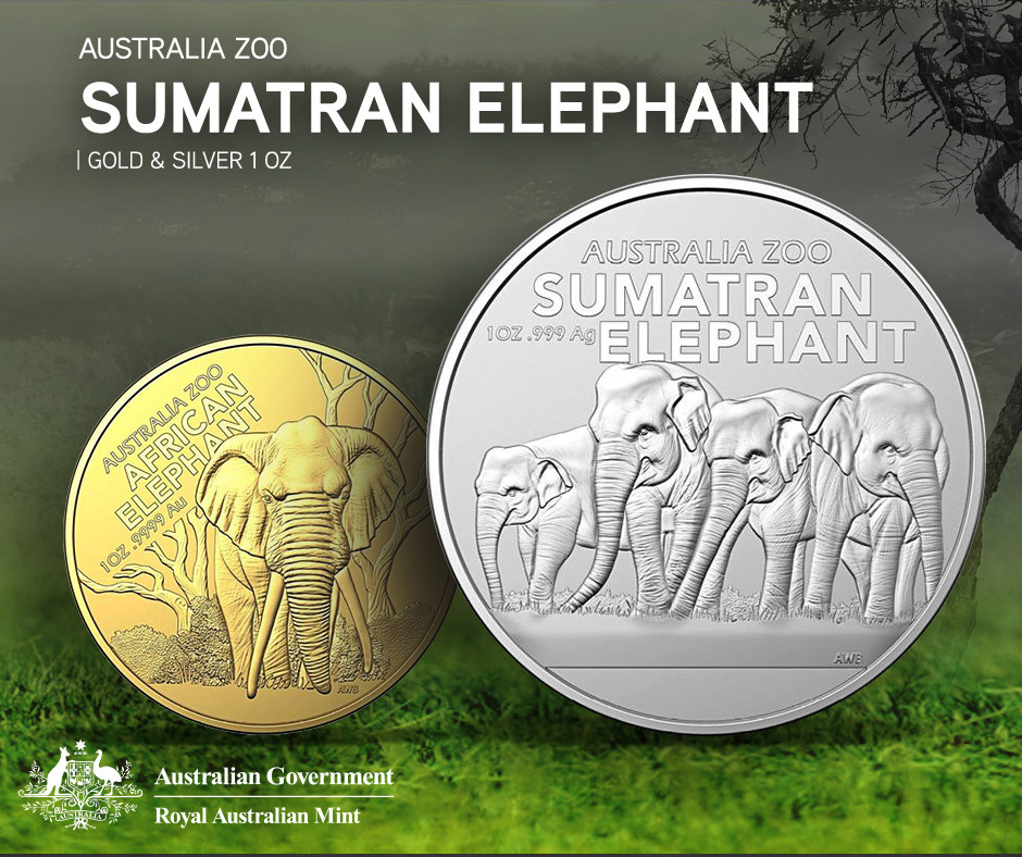 Australia Zoo: Elephant Mandala Zebra