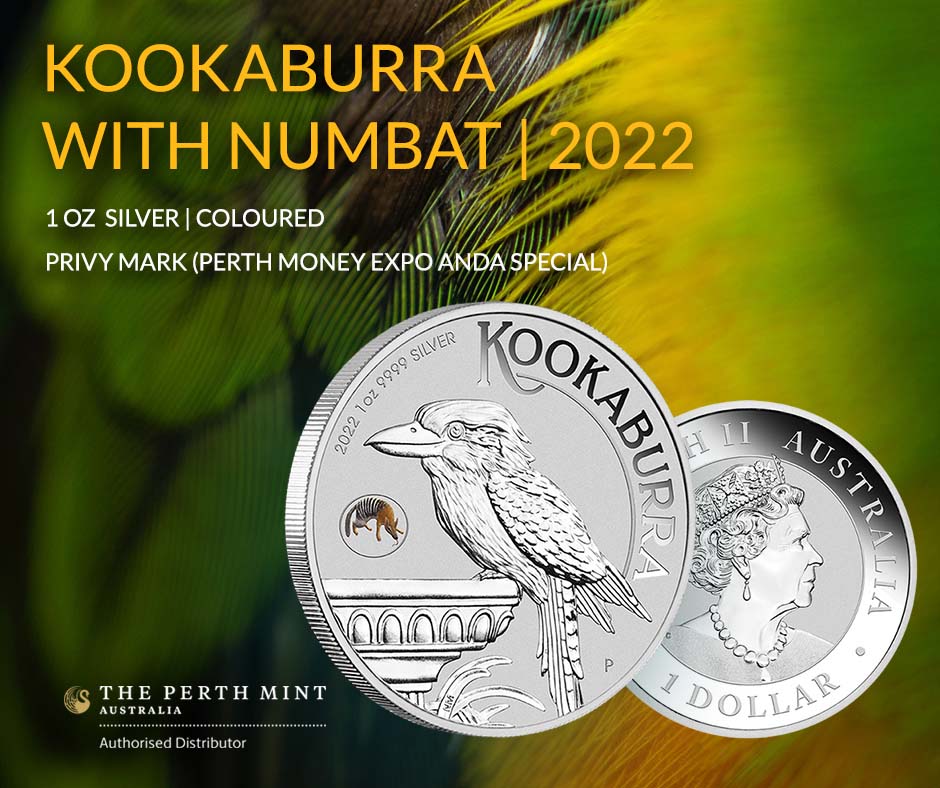 Bull & Bear Żółw Szylkretowy