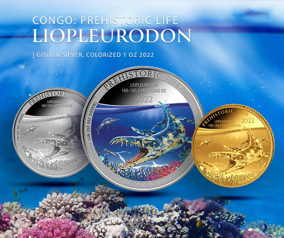 Kubuś Puchatek - Kangurzyca i Maleństwo Złoto