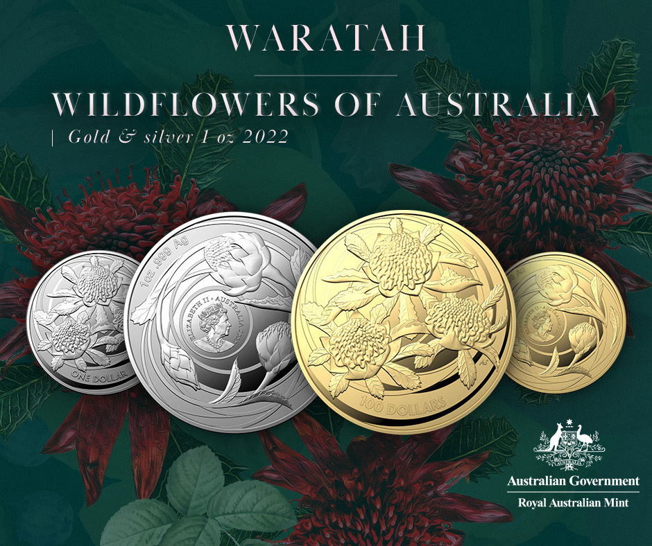  
Wildflowers of Australia: Waratah