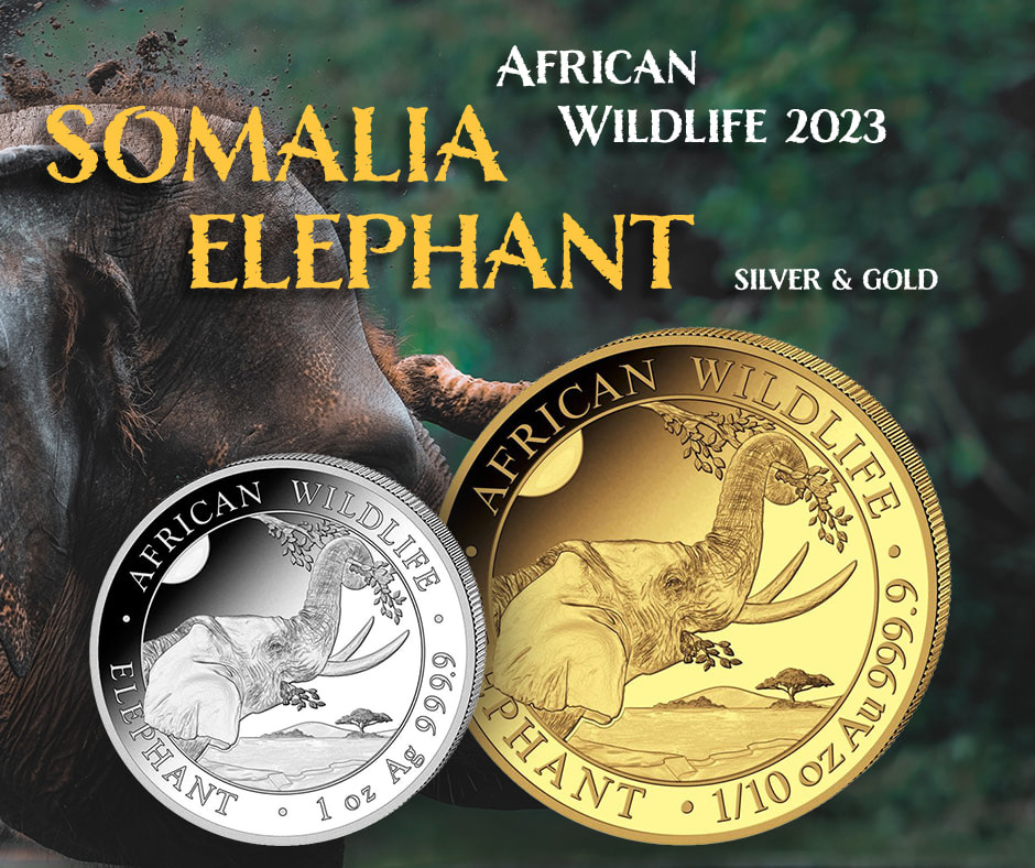 African Wildlife: Słoń Somalijski