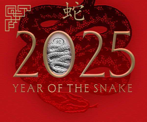 Yeaf of snake 2025