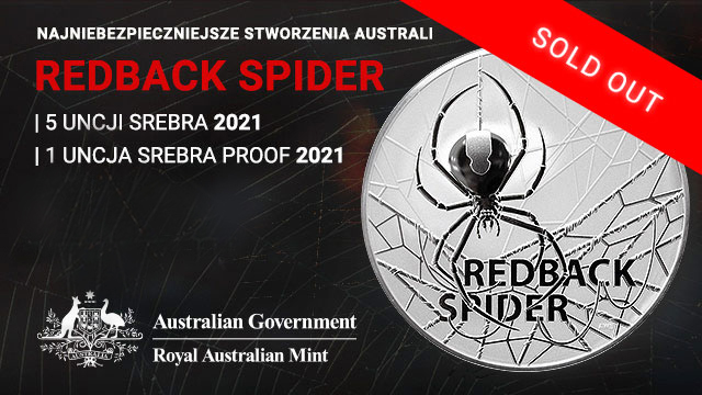  Redback Spider