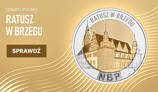 Ratusz w Brzegu