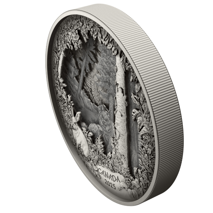 Canada: Predator or Prey in Shadow Box $175 Srebro 2025 Antique Finish