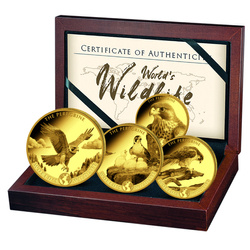 Zestaw 4 monet Congo: World‘s Wildlife - Peregrine Falcon Złoto 2024 Proof