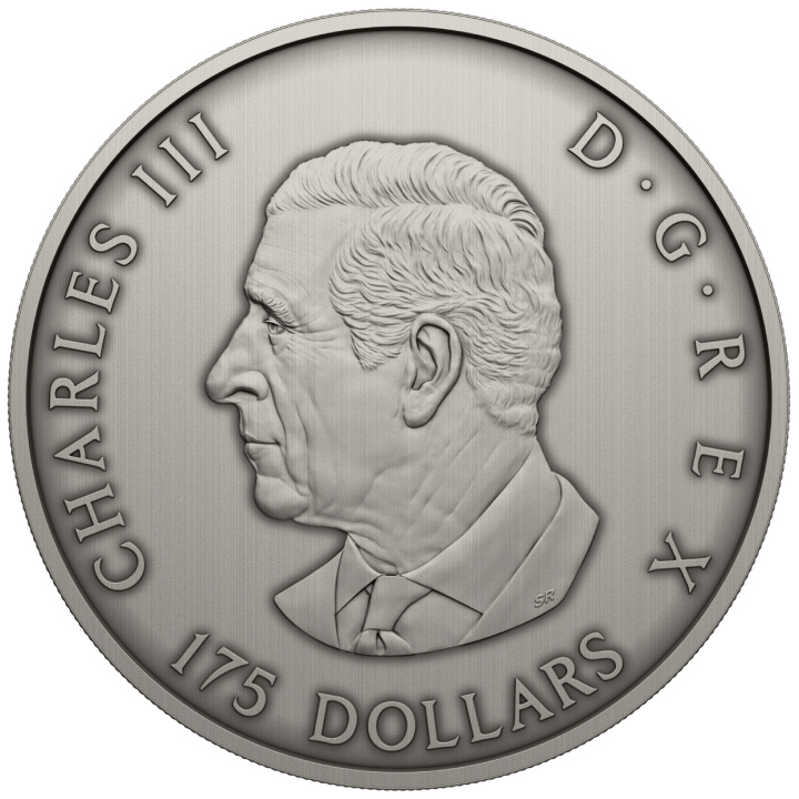 Canada: Predator or Prey in Shadow Box $175 Srebro 2025 Antique Finish