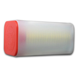 Amerykański Orzeł 1 uncja Złota 2020 PAKIET 20 SZTUK