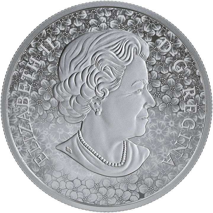 Kanada: Forget-Me-Not 1 uncja Srebra 2019 Proof