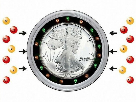 Plastikowy kapsel na monetę Ultra Intercept (średnica: różne rozmiary)