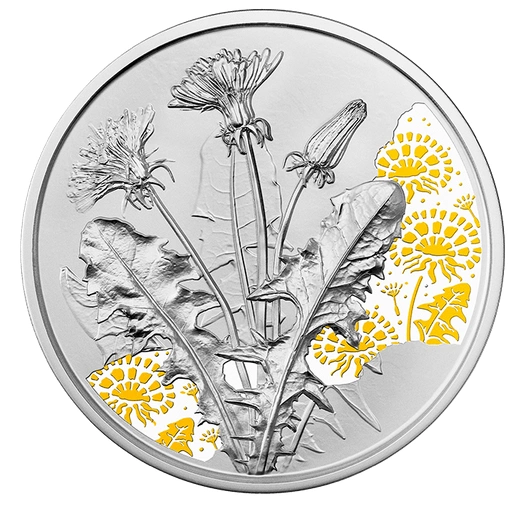 The Dandelion kolorowany 10 Euro Srebro 2022 Proof
