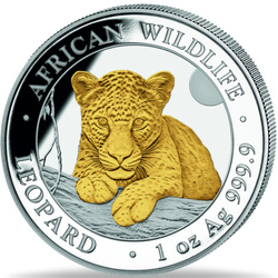 Somalia: African Wildlife - Leopard pozłacany 1 uncja Srebra 2025