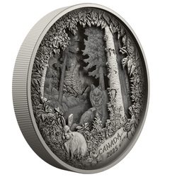 Canada: Predator or Prey in Shadow Box $175 Srebro 2025 Antique Finish