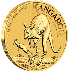 Australijski Kangur 1/4 uncji Złota 2022