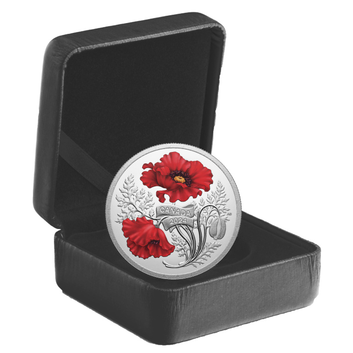 Canada: Remembrance Day kolorowany $20 Srebro 2024 Proof
