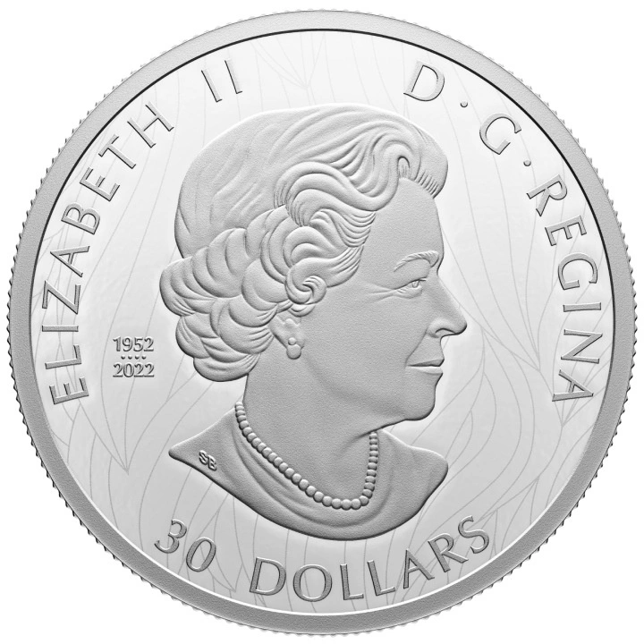 Canada: The Striking Bald Eagle $30 Srebro 2023 Proof