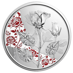 Rose kolorowana 10 Euro Srebro 2021 Proof