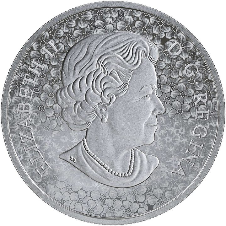 Kanada: Forget-Me-Not 1 uncja Srebra 2019 Proof