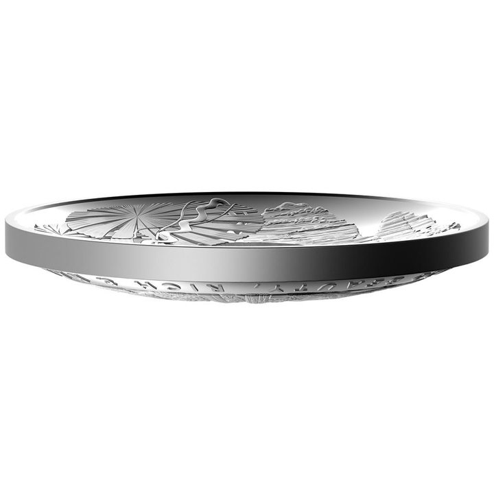 Beauty, Rich & Rare: Daintree Rainforest kolorowany 1 uncja Srebra 2022 Proof Domed Coin