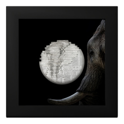 Cook Islands: Reconstruction - Elephant 2 uncje Srebra 2024 Proof High Relief