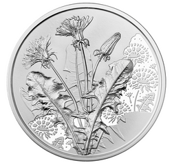 The Dandelion 10 Euro Srebro 2022