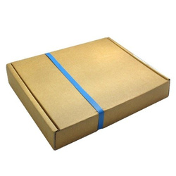 Orzeł Australijski 1 uncja Srebra 2021