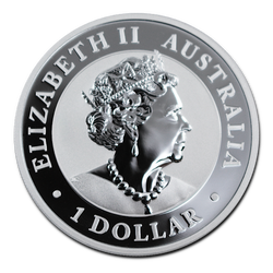 Australijski dziki koń - Brumby 1 uncja Srebra 2020