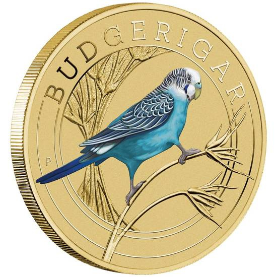 Budgerigar kolorowany Brąz Aluminiowy 2022