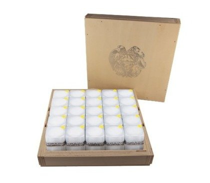 Oryginalny Masterbox Arka Noego na monety 1 uncja Srebra