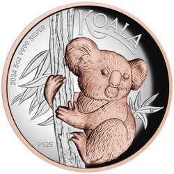 Australijska Koala pozłacana 5 uncji Srebra 2024 Proof High Relief 