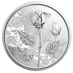 Rose 10 Euro Srebro 2021
