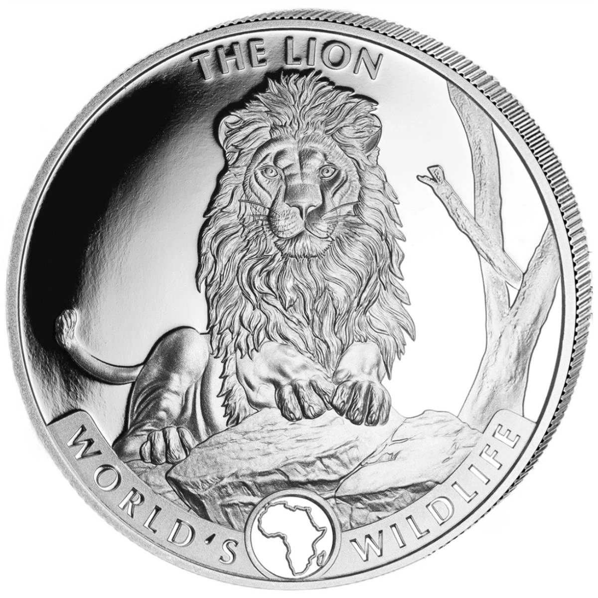 CARA LION(I’M NO’T A TROPHY) SIMBA 9, Lion, I'M NOT A TROPHY · Art photographs · YellowKorner