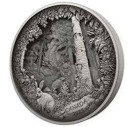 Canada: Predator or Prey in Shadow Box $175 Srebro 2025 Antique Finish
