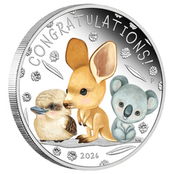 Newborn kolorowany 1/2 uncji Srebra 2026 Proof