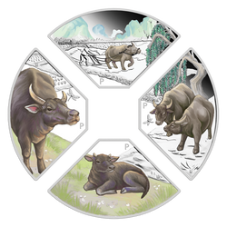 Tuvalu: Rok Bawoła Quadrant kolorowany 1 uncja Srebra 2021 Proof