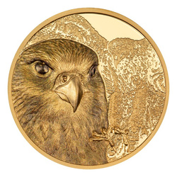 Mongolia: Mongolian Falcon 1 uncja Złota 2023 Proof Ultra High Relief