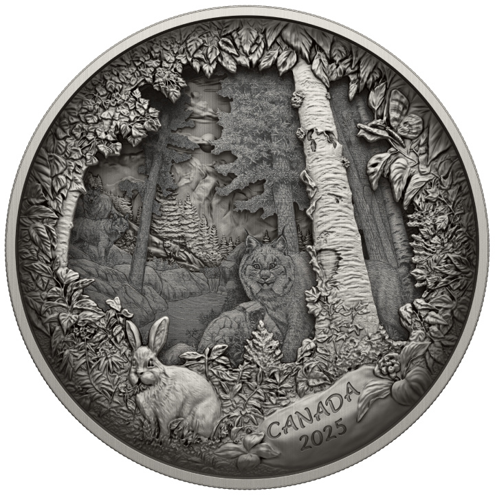 Canada: Predator or Prey in Shadow Box $175 Srebro 2025 Antique Finish