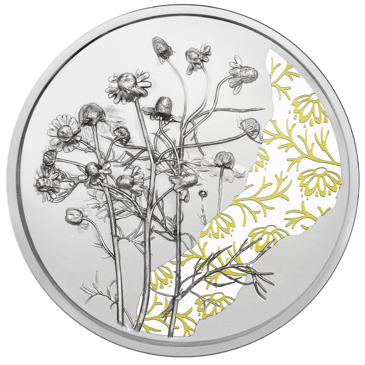 The Chamomile kolorowany 10 Euro Srebro 2023 Proof