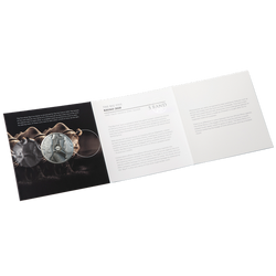 Big Five: Rhino 1 uncja Srebra 2020