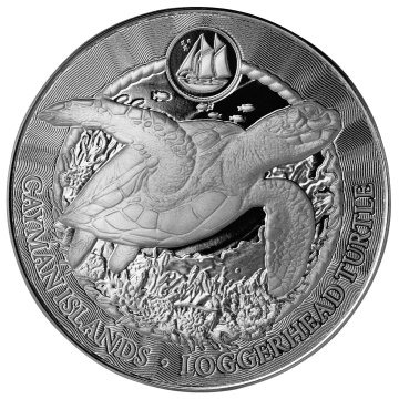 Cayman Islands: Loggerhead Turtle 1 uncja Srebra 2025 Prooflike