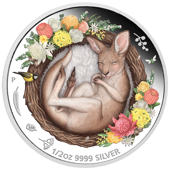 Dreaming Down Under: Śpiący Kangurek kolorowany 1/2 uncji Srebra 2021 Proof