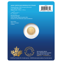 Canada: The Majestic Polar Bear 1/10 uncji Złota 2025